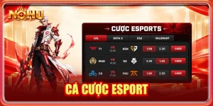 cá cược esport