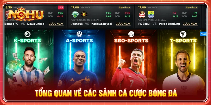 Giới thiệu đôi nét về các sảnh cá cược bóng đá