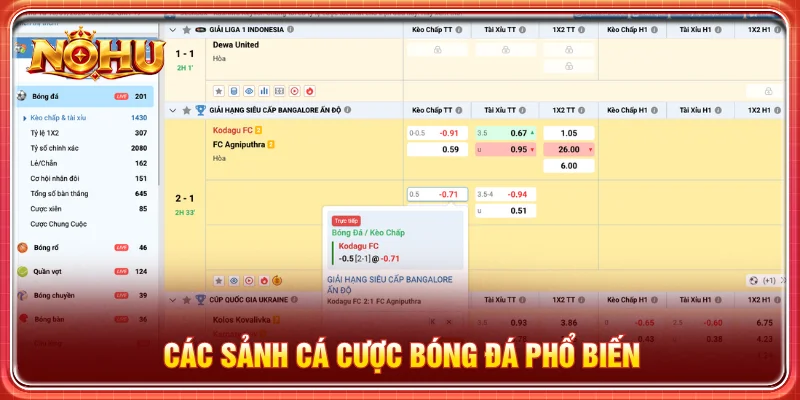 Sảnh cá cược bóng đá đa dạng phù hợp nhiều phong cách